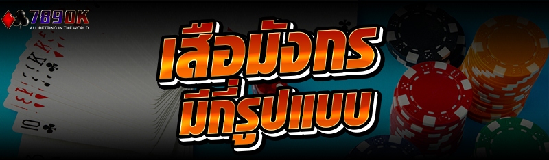 เสือมังกร มีกี่รูปแบบ