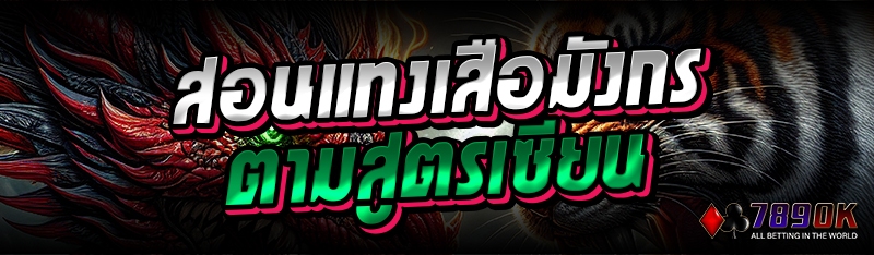 สอนแทงเสือมังกรตามสูตรเซียน