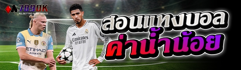 สอนแทงบอลค่าน้ำน้อย 