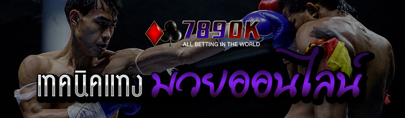 เทคนิคแทงมวยออนไลน์ 